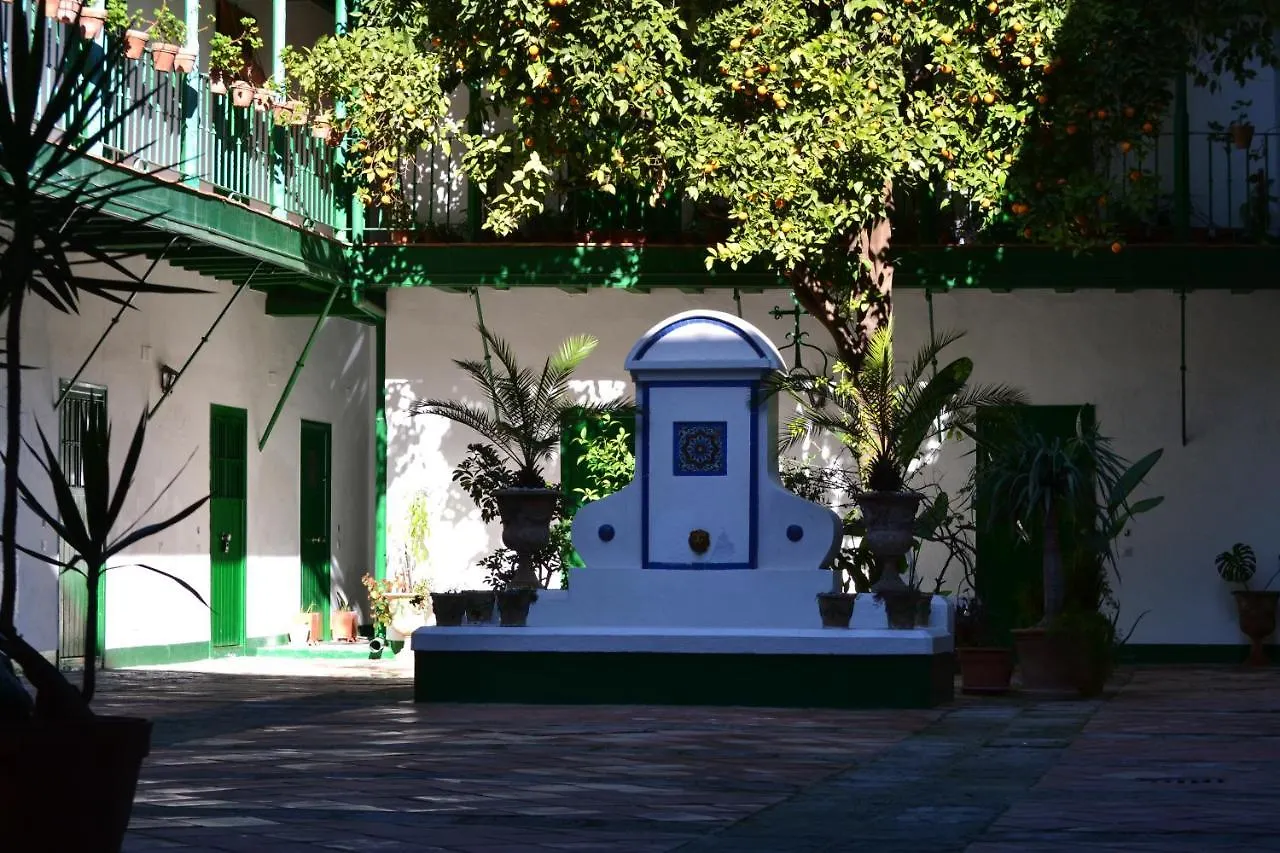 Las Setas Estudio II Seville